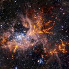 Les vestiges de la formation massive d'étoiles dans la nébuleuse de la Tarentule