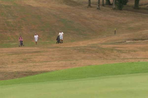 Sécheresse : deux plants de légumes plantés dans les green des golfs de Limoges et de Panazol