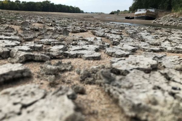 Sécheresse: la Loire se dévoile à pied