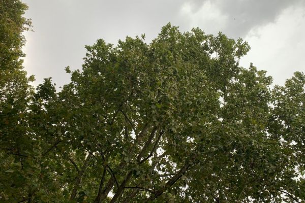 Météo France : les prévisions pour ce mercredi17 août et les 3 prochains jours