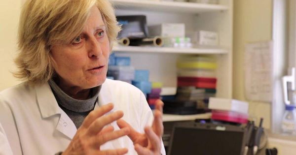 L'immunologue Brigitte Autran, nouvelle figure officielle de la lutte anti-épidémies
