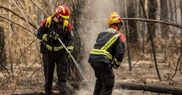 Est-il vrai que des pompiers allemands non vaccinés sont déployés en France?