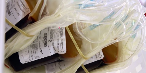 Sang contaminé : des milliers de Britanniques vont être dédommagés