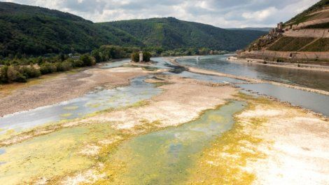 Une péniche en panne bloque le Rhin, déjà difficilement navigable par manque d'eau
