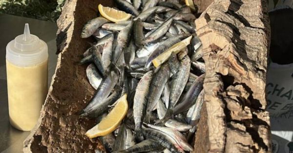 Marseille : samedi pour son apéro, le Muge organise une sardinade