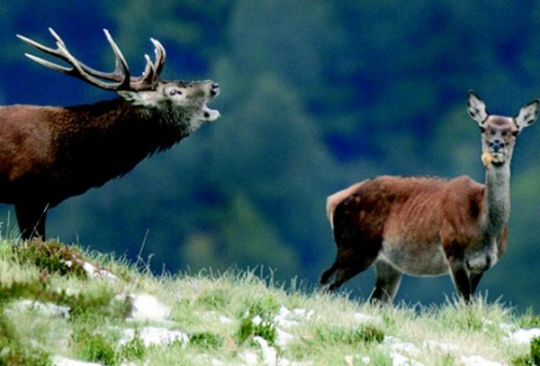 Le Val d’Aran, l’autre versant des Pyrénées