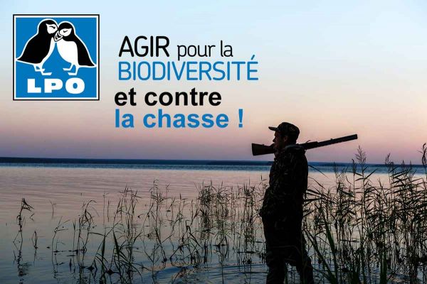 Vidéo: ONG, pompes à fric et outils de recyclage des dirigeants écolos