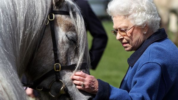 Mort d'Elizabeth II : une reine passionnée de courses hippiques
