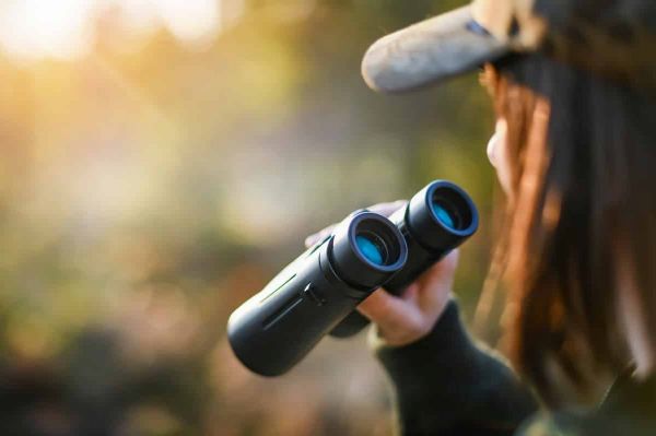 Le pôle chasse des Editions Larivière recherche un commercial en CDI