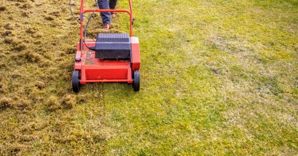Jardinage. Les bons gestes du mois de septembre au jardin
