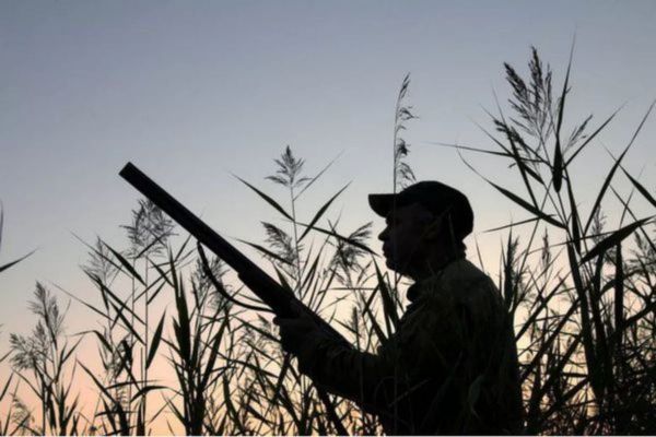 Vidéo: Ouverture de la chasse au canard avec Marius