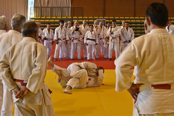 Judo : Nérac la Cité Royale va accueillir les princes et princesses des tatamis
