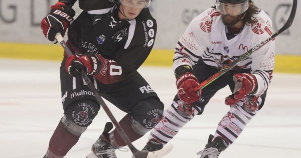 Hockey sur glace. Les Scorpions de Mulhouse veulent confirmer ce mardi à Amiens