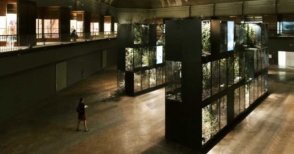 Lyon : les incontournables de la Biennale d'art contemporain 2022