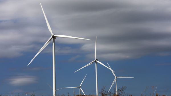 Energies renouvelables : les éoliennes pourraient venir perturber le débat au Sénat