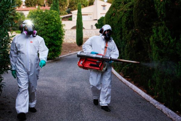Alerte à la dengue en France, dans le sillage du moustique-tigre