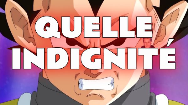 L'image du jour : Vegeta et Naruto humiliés dans une boutique (honteux)