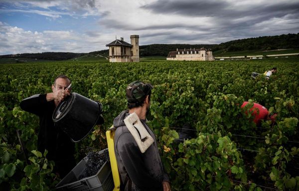 Agriculture : Hausse de 20 % du budget du ministère dans le projet de loi de finances 2023