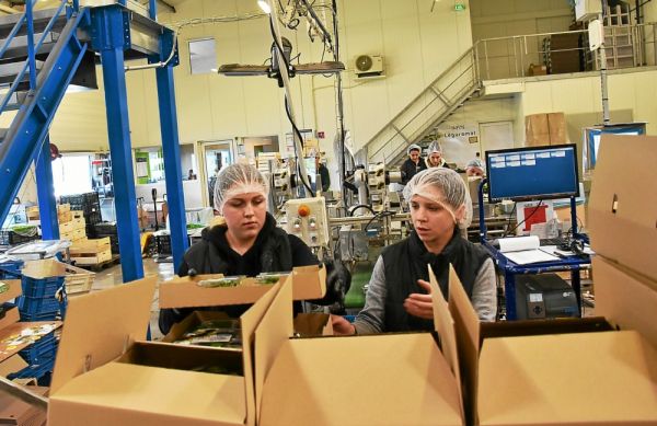 Un job dating pour employer des réfugiés ukrainiens en Bretagne