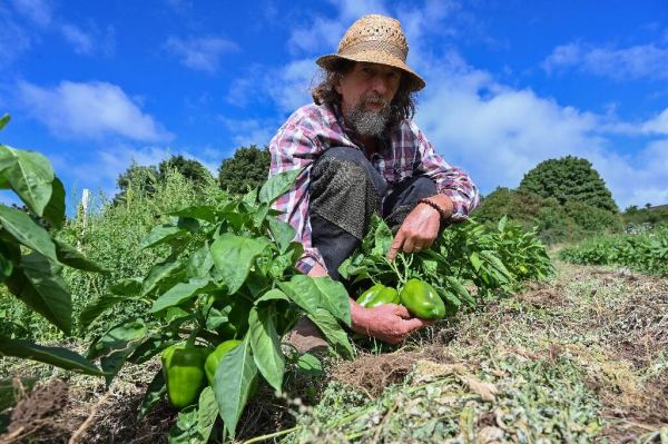 Des agriculteurs du sud de la France sur de nouvelles pistes pour contrer la sécheresse