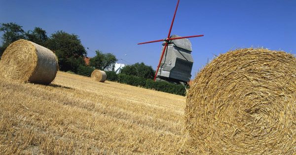 La Flandre française, "où les langues s'entremêlent comme deux couleurs d'encre”