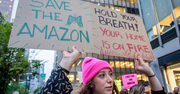 Société. En 2021, 200 défenseurs de l'environnement ont été tués dans le monde