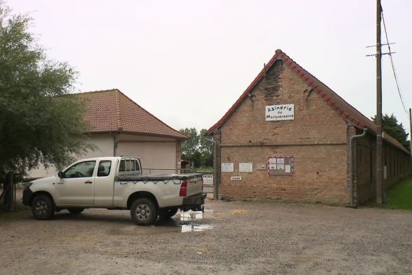 Grippe aviaire : un nouveau foyer détecté dans une ferme de Quend dans la Somme