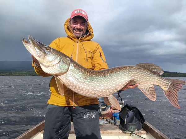 Vue, odorat... comprendre les sens du brochet pour mieux le pêcher