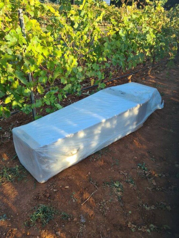 Au milieu de ses pieds de vigne, un viticulteur du Var découvre... un cercueil encore emballé