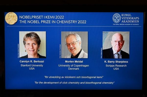 Nobel de chimie 2022 : trois scientifiques primés pour le développement de la chimie bio orthogonale