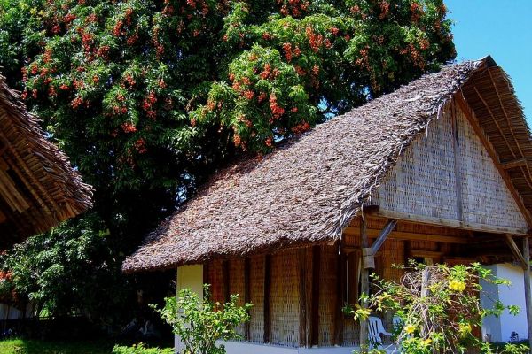Madagascar : la directrice de Transparency International entendue par la police dans le dossier litchis