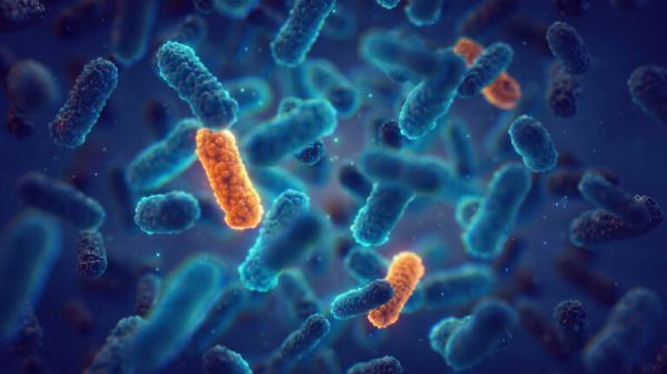 Infections bactériennes: Quelles sont ces bactéries ?