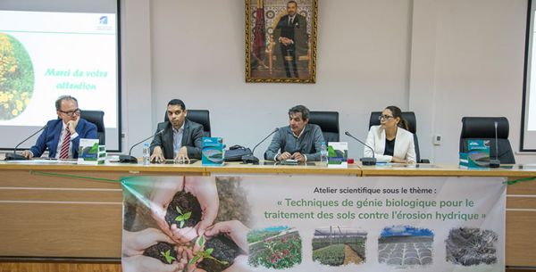Une piste pour les autoroutes du Maroc : Le génie biologique contre l'érosion  des ouvrages