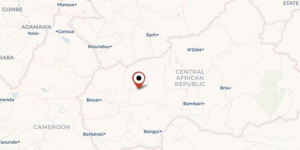 Centrafrique : un avion venu de l'étranger a bombardé des militaires et leurs alliés russes