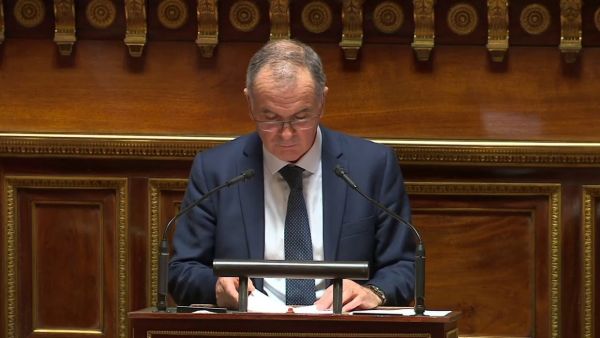 Solidarités : le Sénat vote un budget centré sur la déconjugalisation de l'AAH, et la prime pour l'activité