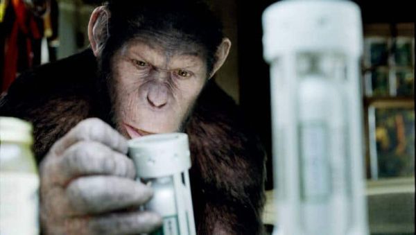 Planète des singes : le comité de veille appelle à se préparer à un « rebond de l’épidémie » de mpox !