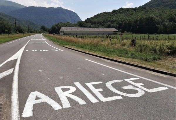 Sursis pour les militants anti-ours qui avaient perturbé une réunion en Ariège