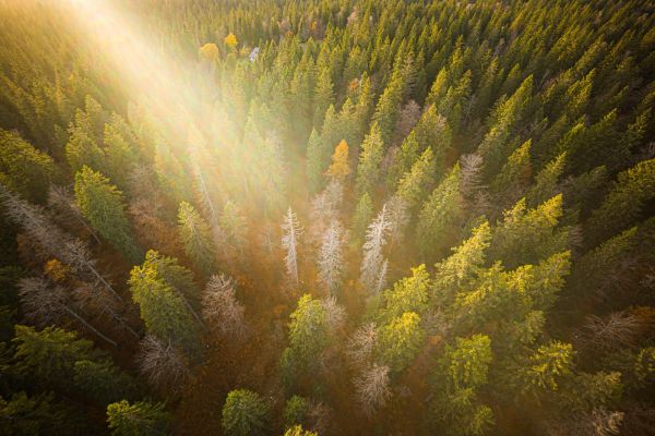 2022, une année « hors normes, symptôme du dérèglement climatique »
