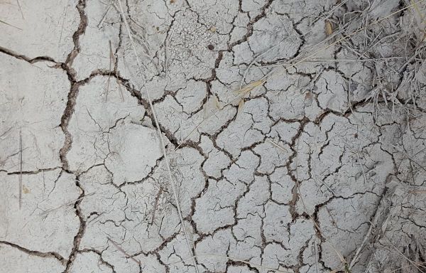 Hérault : Une grande partie du département placée en alerte sécheresse