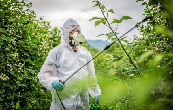 La France « continue d'exporter des pesticides interdits », selon deux ONG