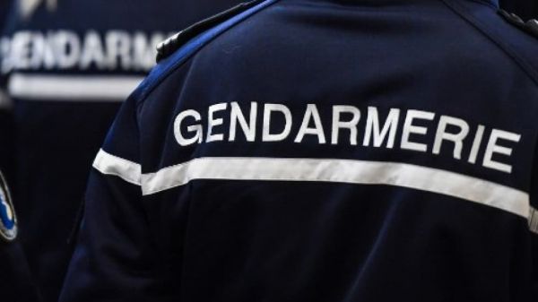 Haute-Garonne: un chasseur poursuivi après avoir volontairement abattu un chien errant