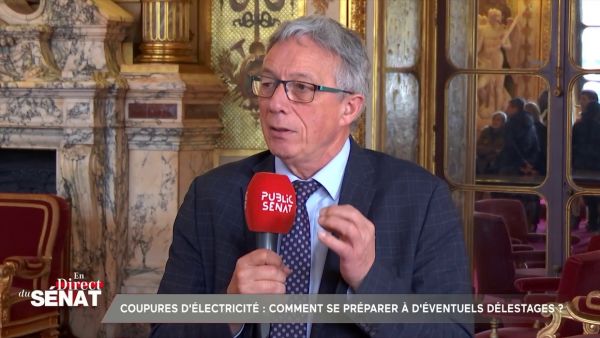 Coupures de courant : « Il nous reste très peu de temps », alerte le sénateur Daniel Gremillet