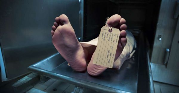 Cet hiver selon qu’il sera doux ou non le froid va créer une surmortalité de 79.000 à 185.000 morts dans une Europe tombée depuis 10 ans dans les délires déments d’écologistes qui ne [...]