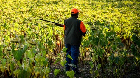 Chasse privée : un drame évité de peu dans l'Oise, une enquête ouverte