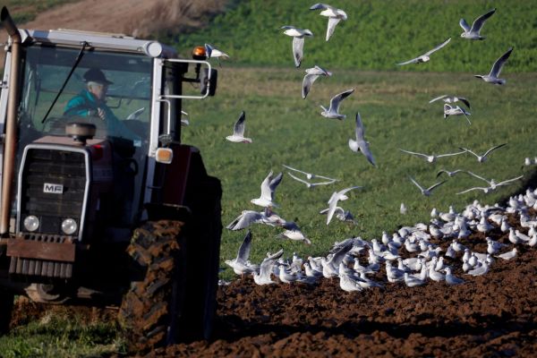 Les Etats membres de l'Union européenne demandent une nouvelle étude d'impact sur les pesticides