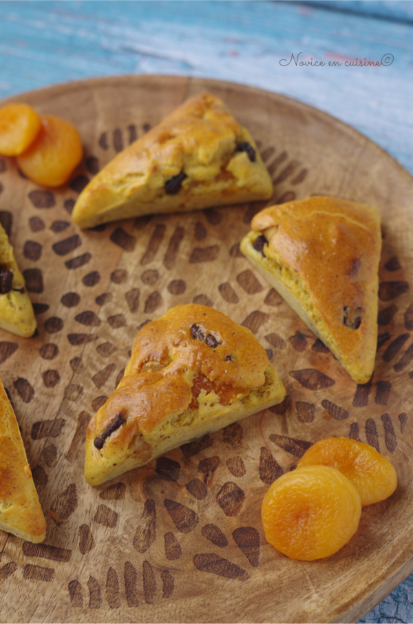 Triangles moelleux abricots secs/noisettes et chunks
