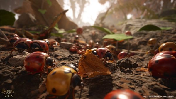 Des images magnifiques de l'adaptation des Fourmis de Bernard Werber