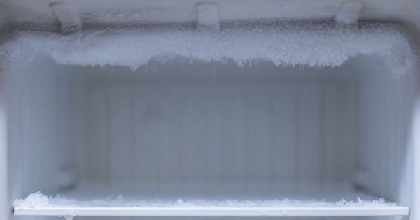 Dossier : Freezer ou congélateur ? Tout ce qu'il faut savoir