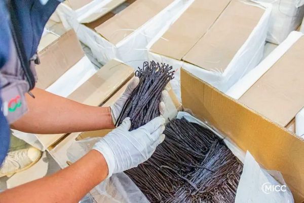 Madagascar : 8 tonnes de vanilles embarquent dur Air France Cargo