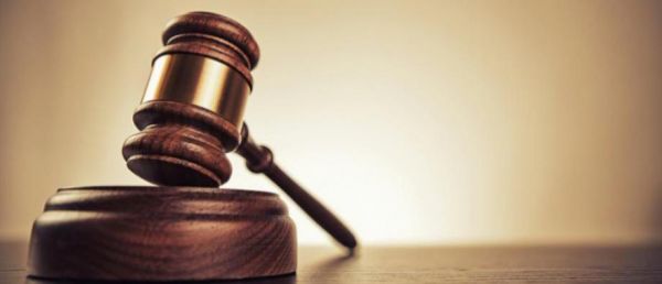 Strasbourg: L'homme qui a jeté son chien par la fenêtre du cinquième étage d'un immeuble condamné à huit mois de prison ferme